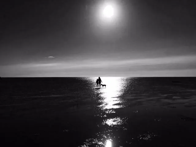 Le Bout Du Monde Appartement